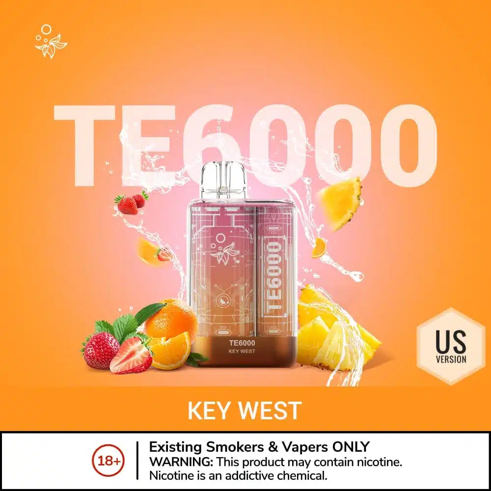 ELFBAR TE 6000 Puffs Disposable Vape in UAE
