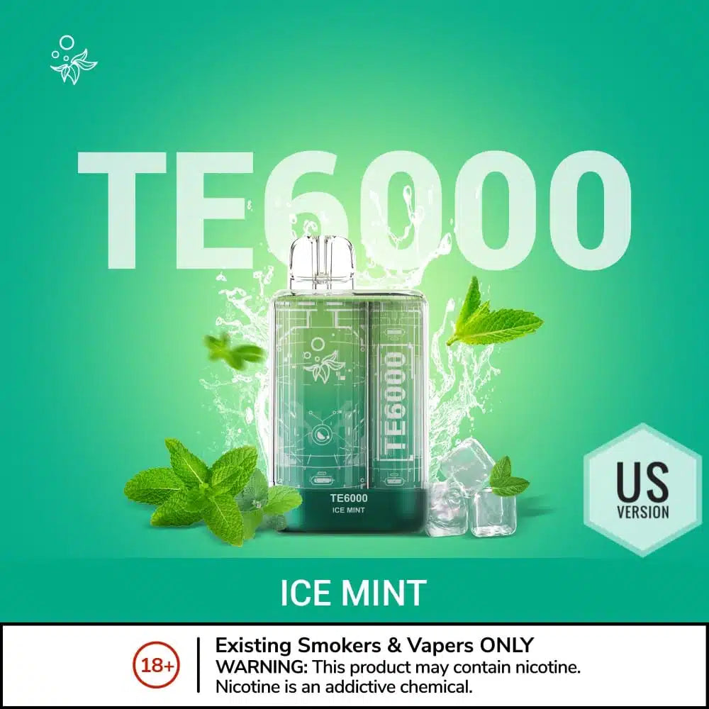 ELFBAR TE 6000 Puffs Disposable Vape in UAE