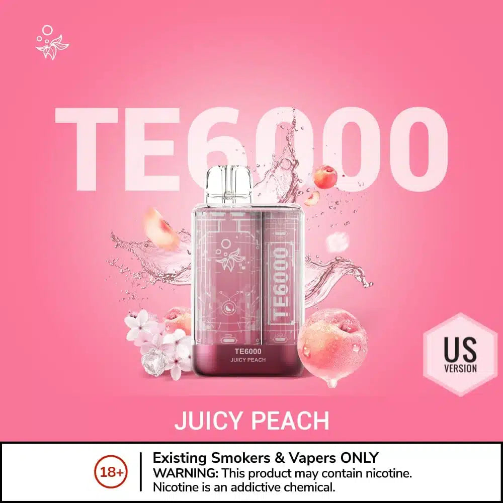ELFBAR TE 6000 Puffs Disposable Vape in UAE