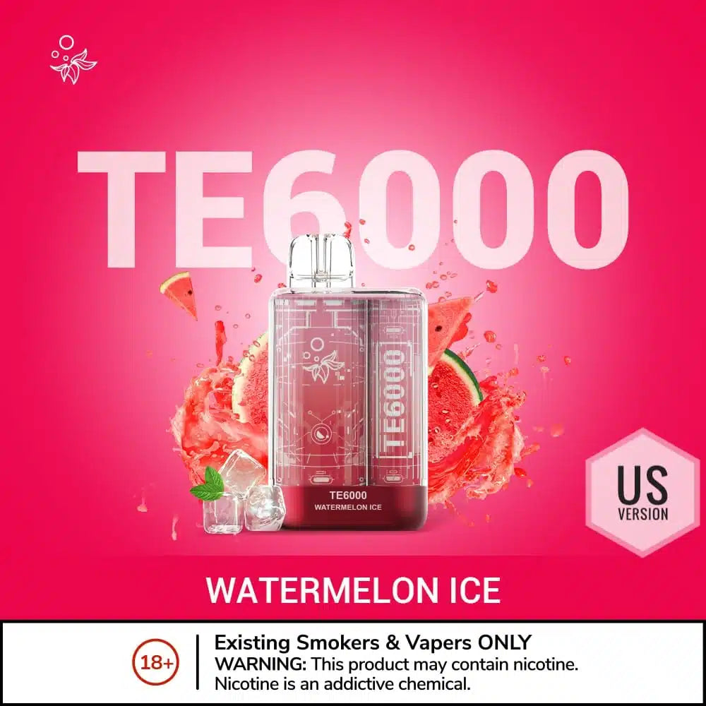 ELFBAR TE 6000 Puffs Disposable Vape in UAE