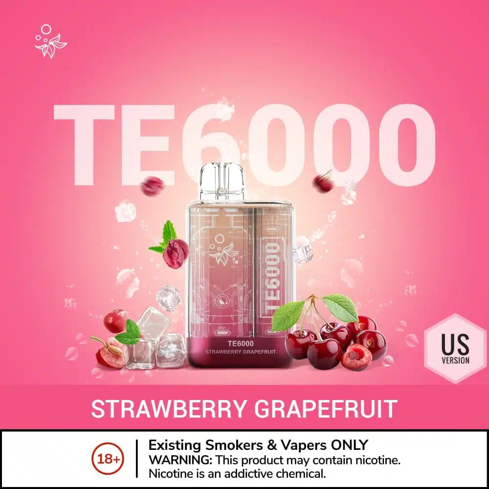 ELFBAR TE 6000 Puffs Disposable Vape in UAE