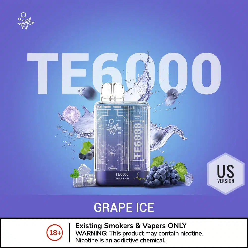 ELFBAR TE 6000 Puffs Disposable Vape in UAE