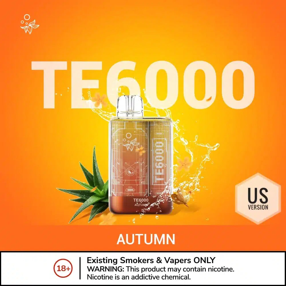 ELFBAR TE 6000 Puffs Disposable Vape in UAE