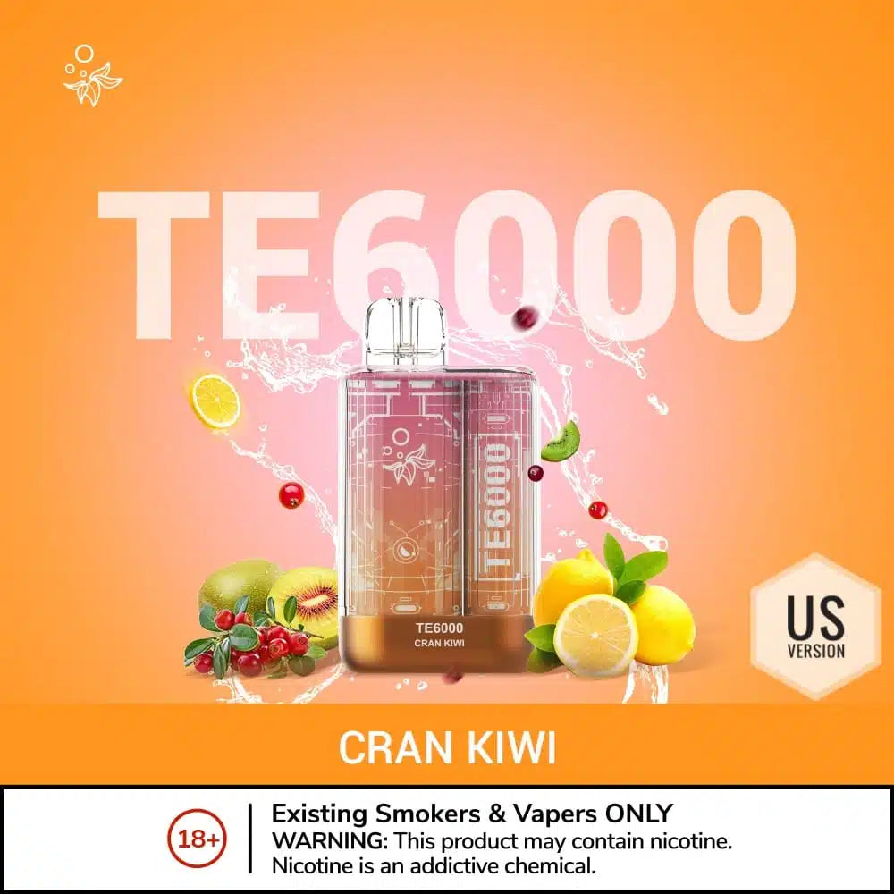 ELFBAR TE 6000 Puffs Disposable Vape in UAE
