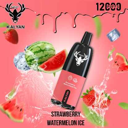 Kalyan Vape Rechargeable Pod - 12000 Puffs