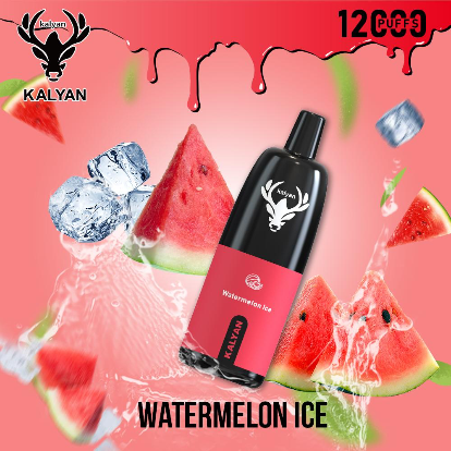 Kalyan Vape Rechargeable Pod - 12000 Puffs